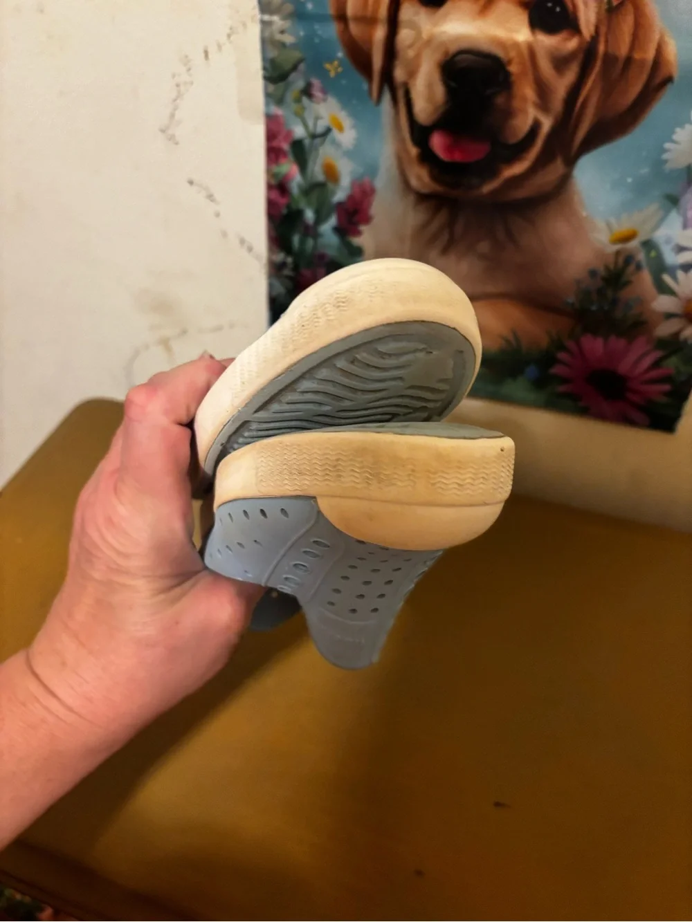 Native boys Slip-On Sneakers in Light Blue with White Soles. C13
